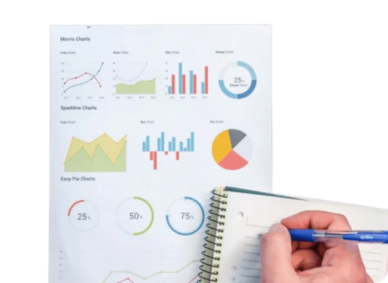 customer segment chart